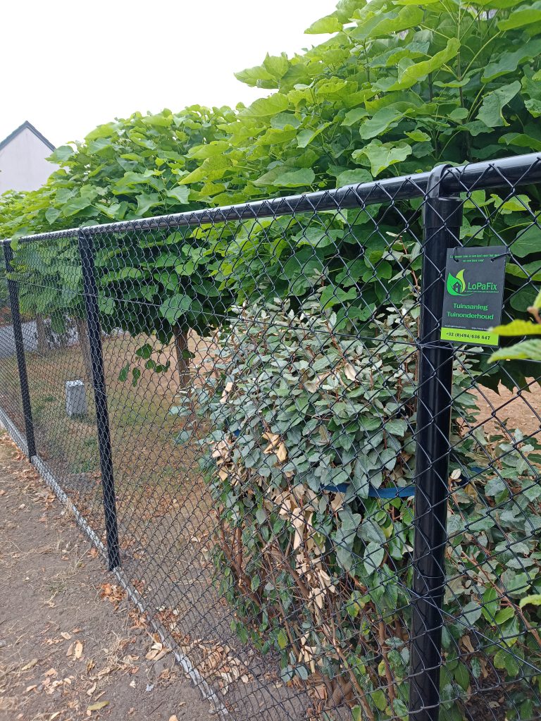 Plaatsen van afsluitingen en terrassen